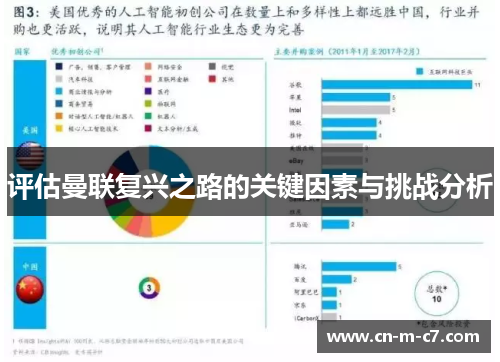 评估曼联复兴之路的关键因素与挑战分析