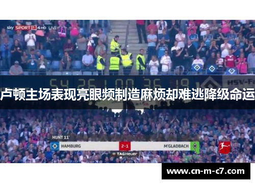 卢顿主场表现亮眼频制造麻烦却难逃降级命运 卢顿主场表现亮眼频制造麻烦却难逃降级命运