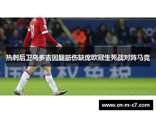 热刺后卫乌多吉因腿筋伤缺席欧冠生死战对阵马竞