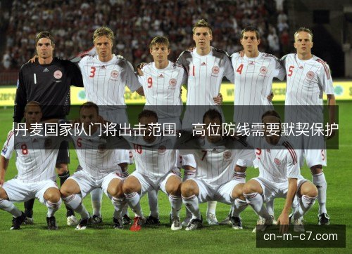 丹麦国家队门将出击范围，高位防线需要默契保护